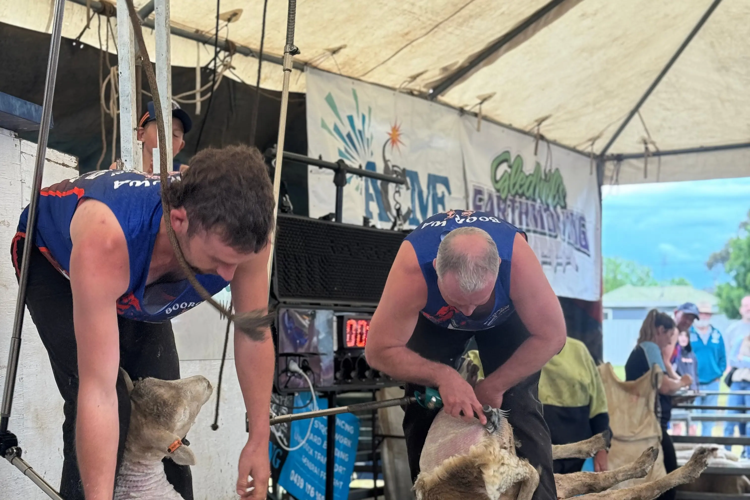 <p>The success of the quick shear at Boorowa\\'s Irish Woolfest helped inspire the decision. PHOTO: Ryan Long</p>\\n